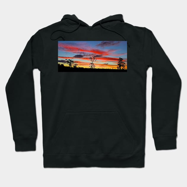 SUNSETS AND SUNRISES Hoodie by anothercoffee